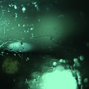 亚洲图片欧美另类
